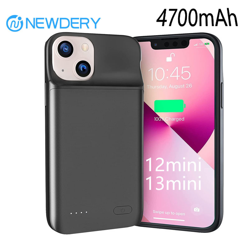 NEWDERY 4800mAh 슬림 배터리 충전 케이스  - Power Bank Slim 리뷰 및 가격